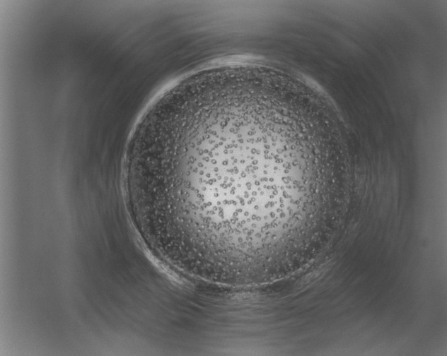 X0000056361421200509021736