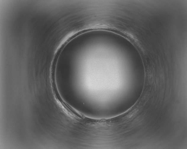 X0000056361422200509021736