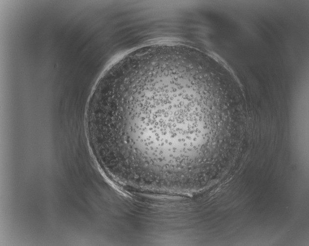 X0000056361429200509021736