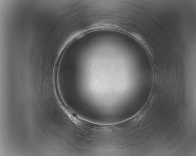 X0000056361438200509021736