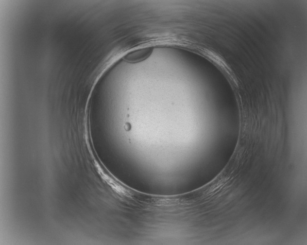 X0000056361439200509021736