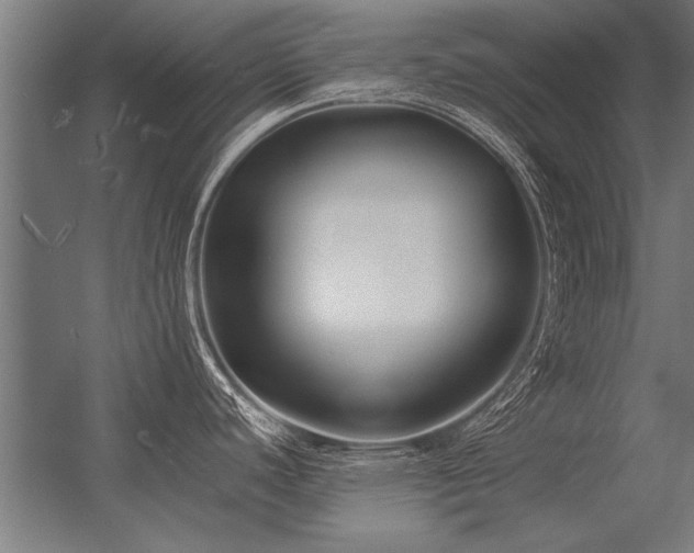 X0000056361440200509021736