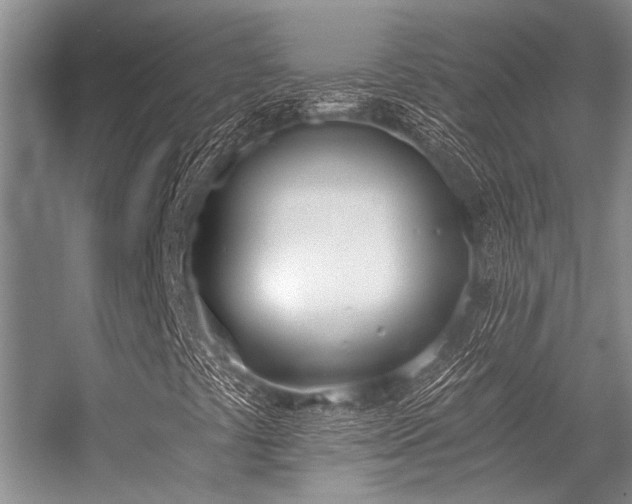 X0000056361441200509021736