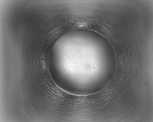 X0000056361442200509021736