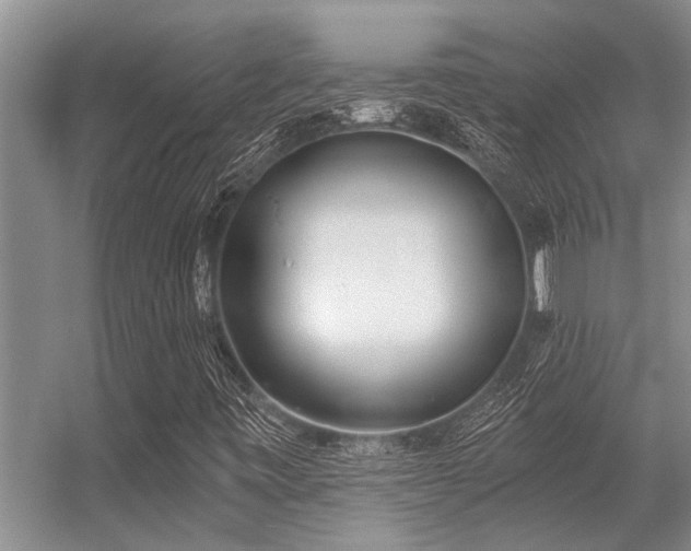 X0000056361443200509021736