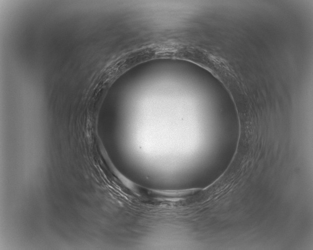 X0000056361445200509021735