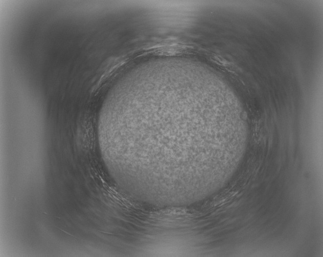 X0000056361446200509021735