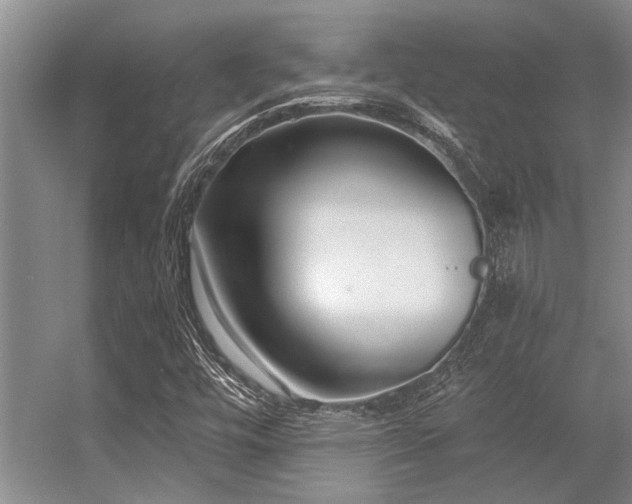 X0000056361448200509021735