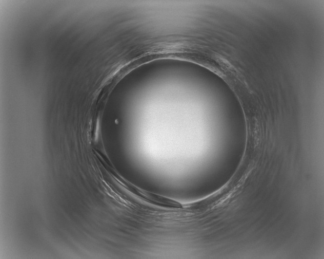 X0000056361449200509021735