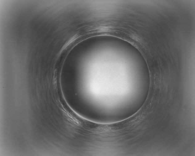 X0000056361450200509021735