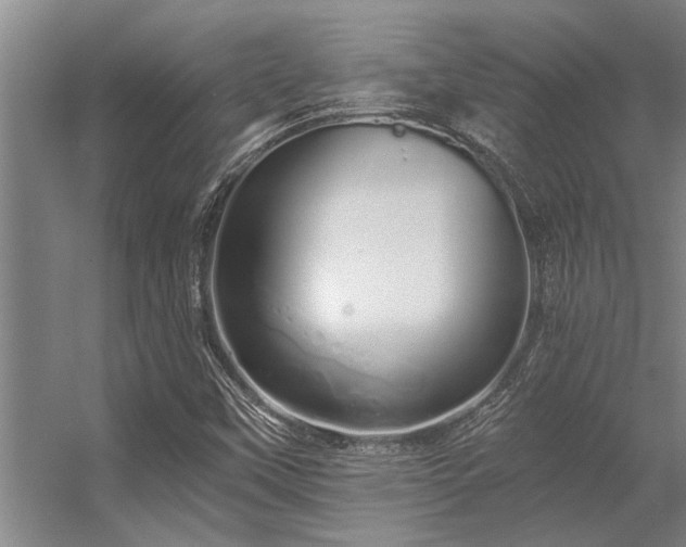 X0000056361451200509021735