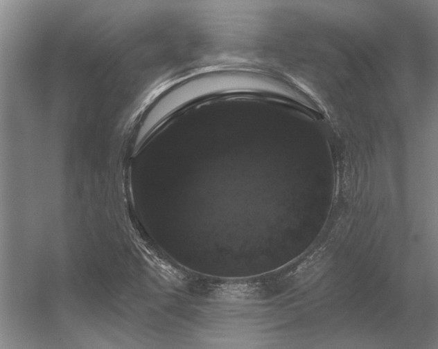 X0000056361455200509021735