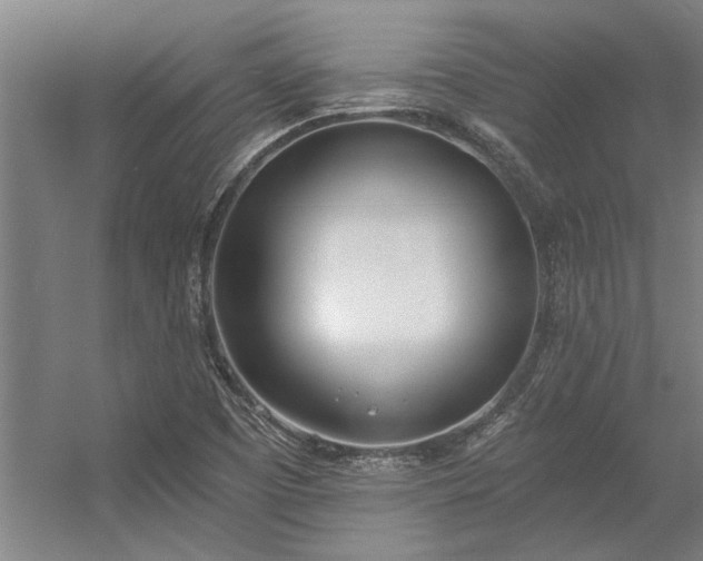 X0000056361457200509021735