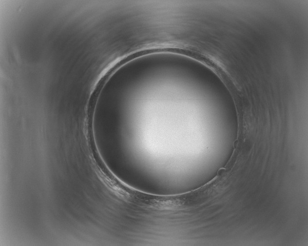 X0000056361460200509021735