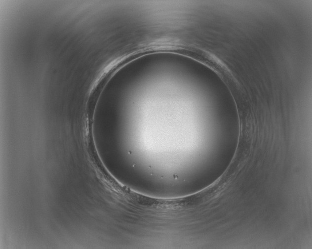 X0000056361461200509021735