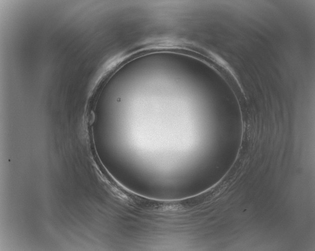 X0000056361464200509021735