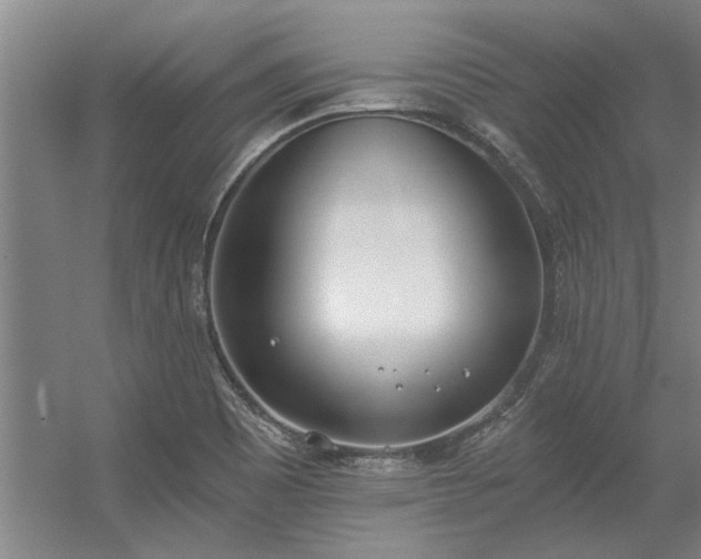 X0000056361465200509021735