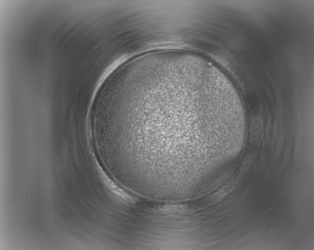 X0000056361466200509021735