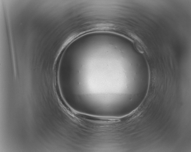 X0000056361467200509021735