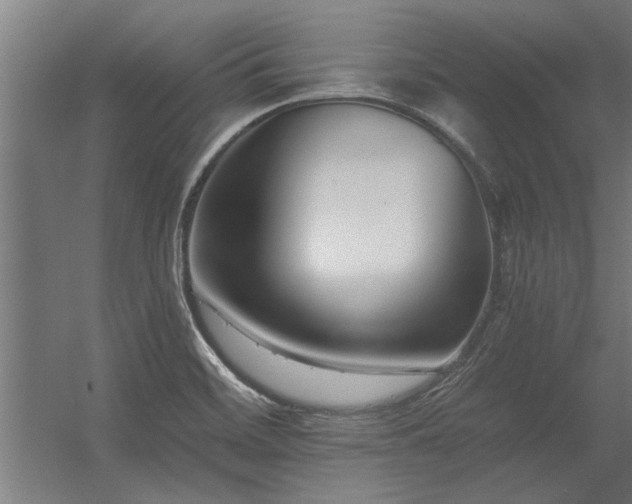 X0000056361468200509021735