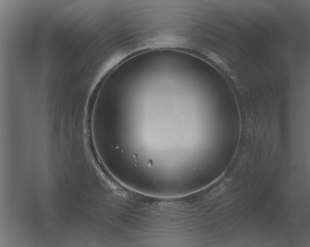 X0000056361469200509021735