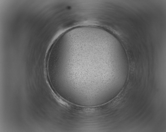 X0000056361470200509021735