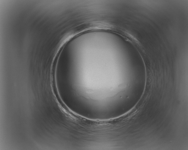 X0000056361471200509021735