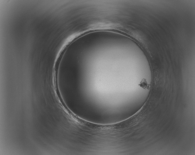 X0000056361472200509021735