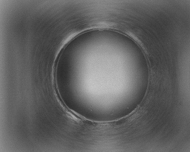 X0000056361477200509021735