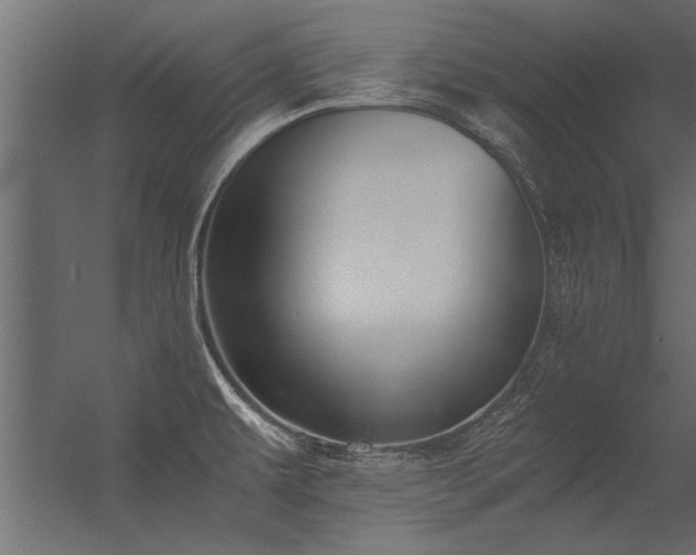 X0000056361479200509021735