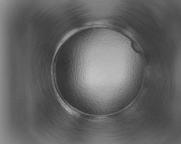 X0000056361482200509021735