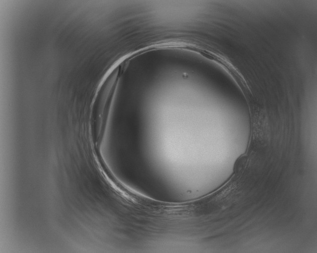 X0000056361484200509021735