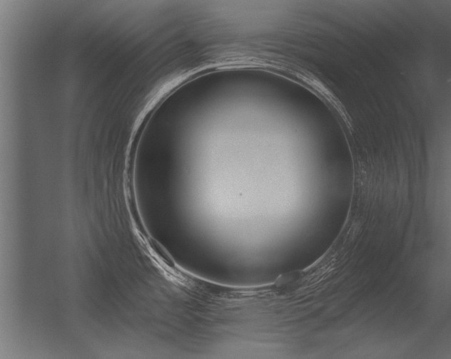 X0000056361485200509021735