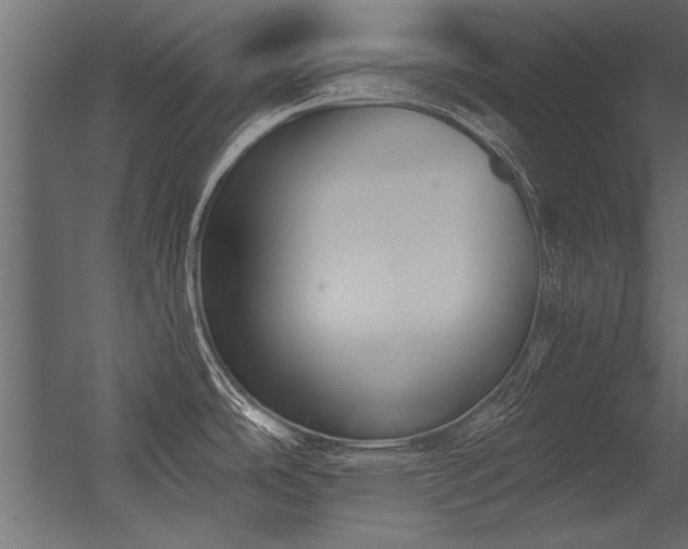 X0000056361486200509021735