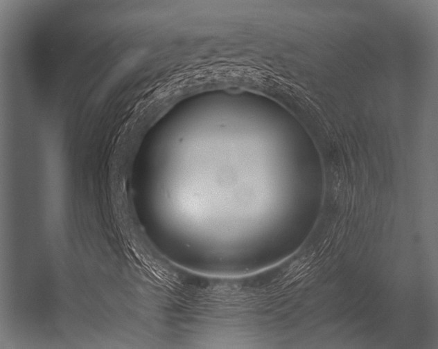 X0000056361489200509021734