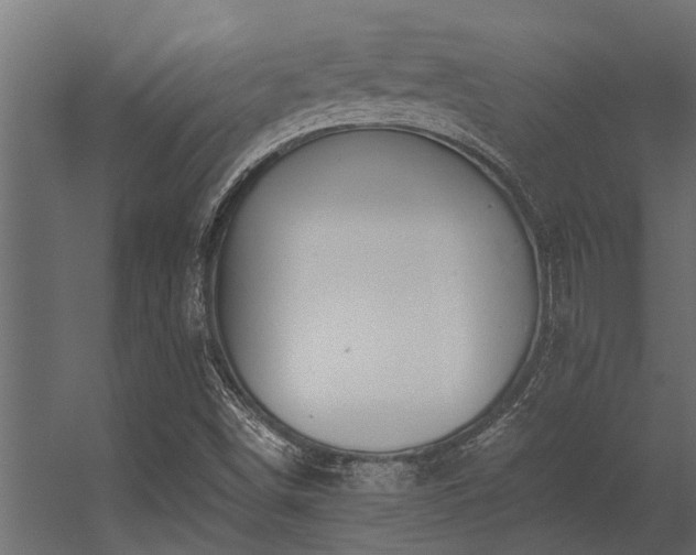 X0000056361498200509021734