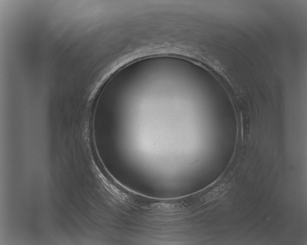 X0000056361500200509021734