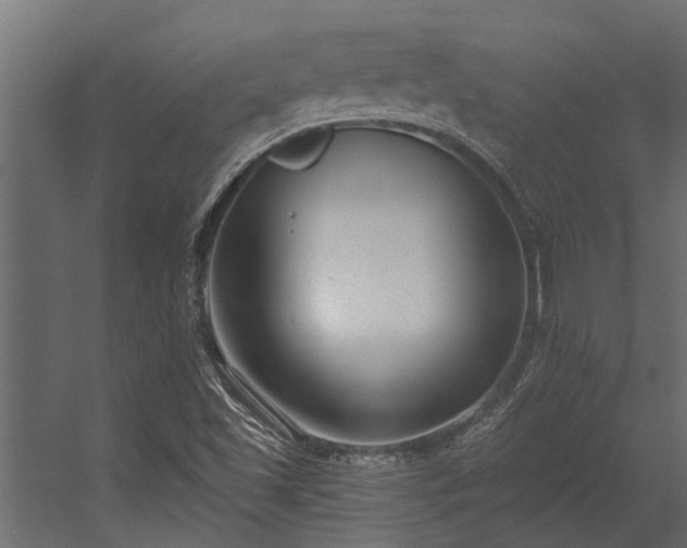 X0000056361501200509021734