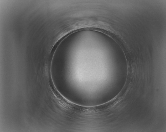 X0000056361505200509021734