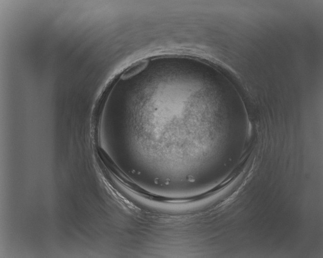 X0000056361506200509021734