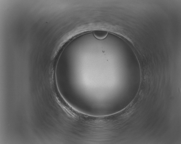 X0000056361507200509021734