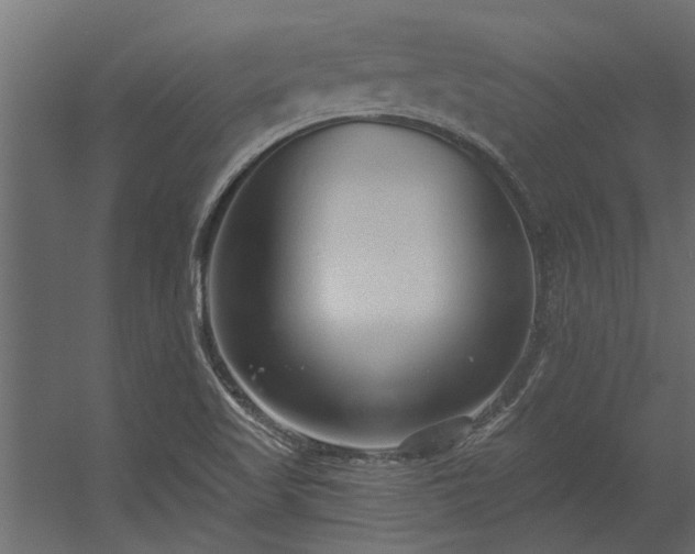 X0000056361509200509021734