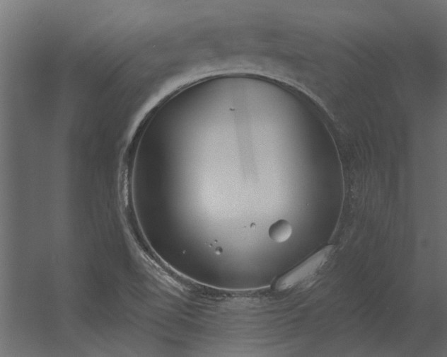 X0000056361510200509021734