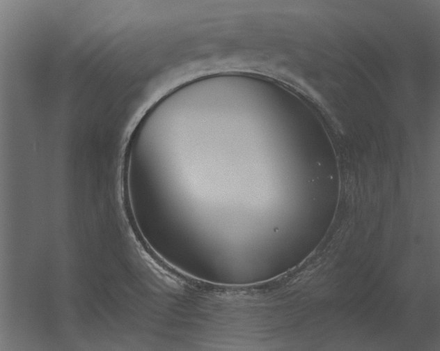 X0000056361512200509021734