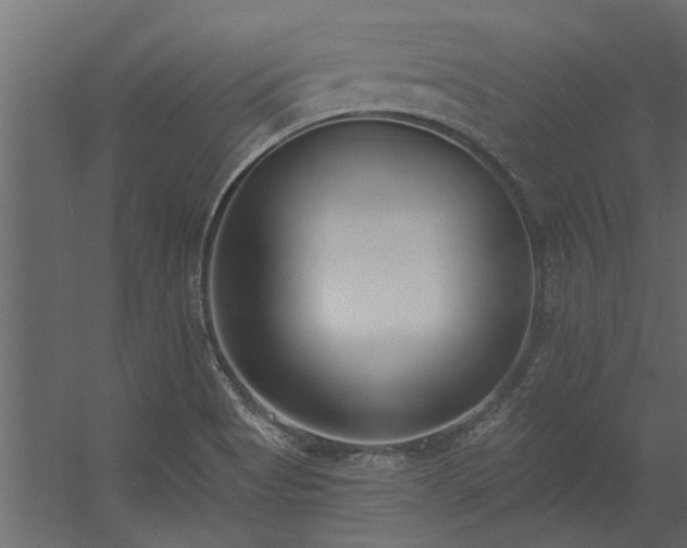 X0000056361513200509021734