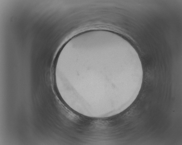 X0000056361514200509021734