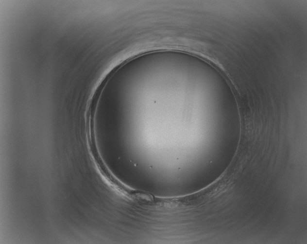 X0000056361515200509021734