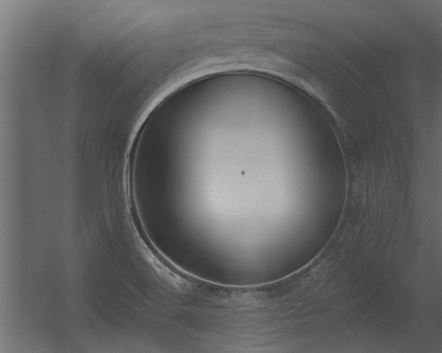 X0000056361516200509021734