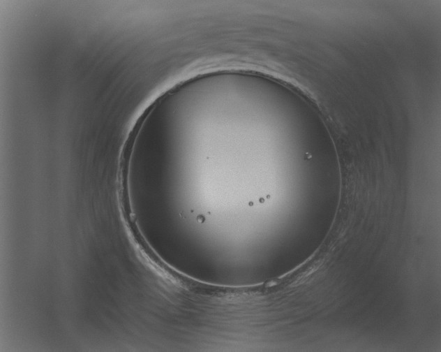 X0000056361518200509021734