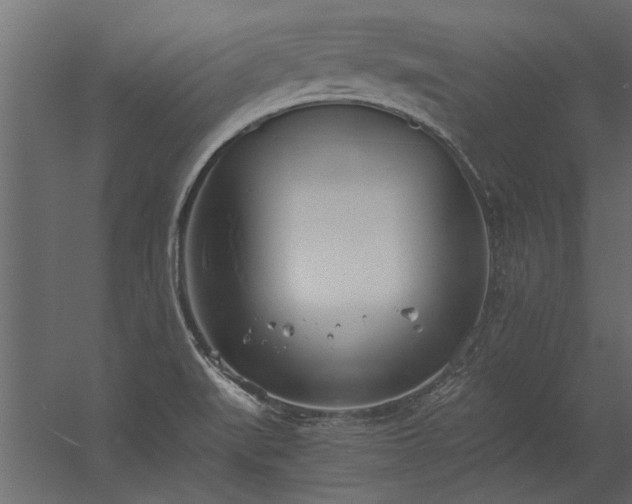 X0000056361519200509021734